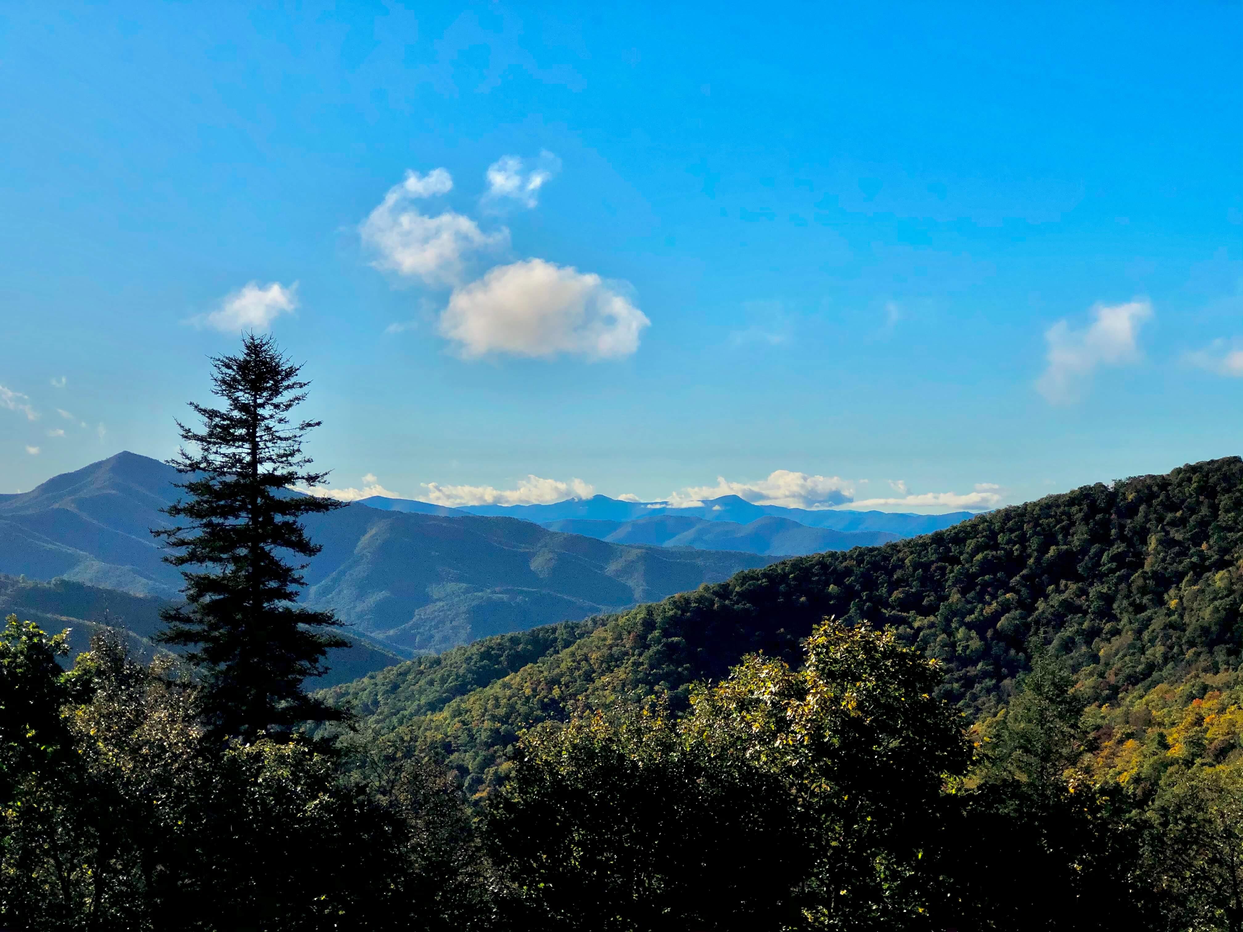 View of mountains in Asheville, NC. Taken by me.
